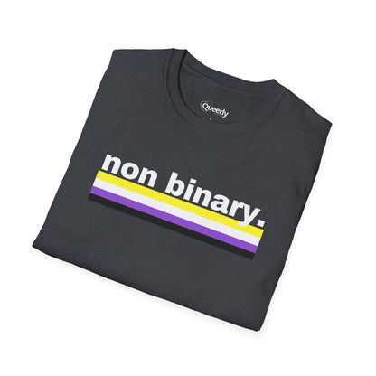 Non Binary + Flag Tee