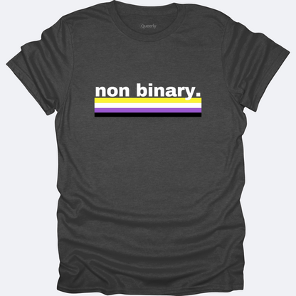 Non Binary + Flag Tee