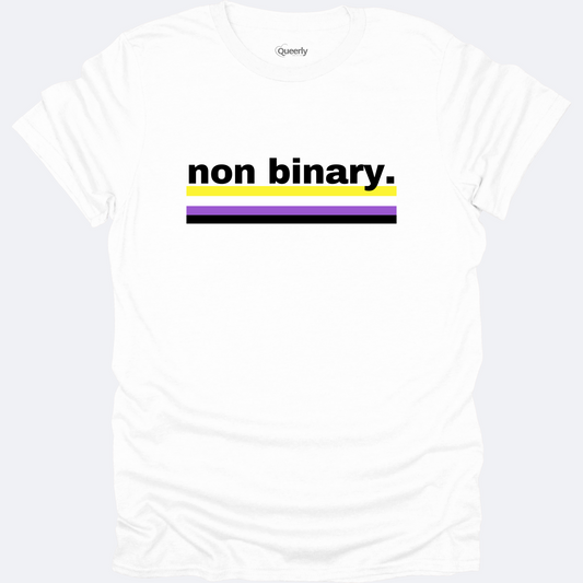 Non Binary + Flag Tee