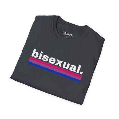 Bisexual + Flag Tee